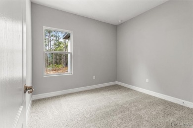 Absolutely stunning Brand-New construction 4-Bedroom 3-Bathroom on Sugarmill Woods Golf and Country Club in Florida - for sale on GolfHomes.com, golf home, golf lot