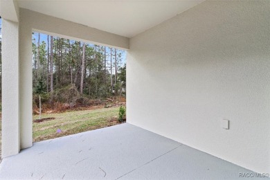 Absolutely stunning Brand-New construction 4-Bedroom 3-Bathroom on Sugarmill Woods Golf and Country Club in Florida - for sale on GolfHomes.com, golf home, golf lot