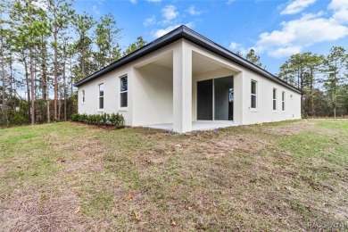 Absolutely stunning Brand-New construction 4-Bedroom 3-Bathroom on Sugarmill Woods Golf and Country Club in Florida - for sale on GolfHomes.com, golf home, golf lot
