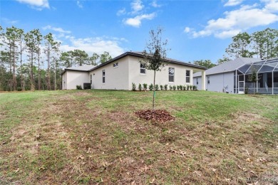 Absolutely stunning Brand-New construction 4-Bedroom 3-Bathroom on Sugarmill Woods Golf and Country Club in Florida - for sale on GolfHomes.com, golf home, golf lot