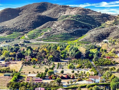 HILLTOP EQUESTRIAN PROPERTY with DISTANT OCEAN VIEWS This on Pala Mesa Resort in California - for sale on GolfHomes.com, golf home, golf lot