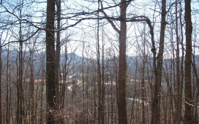 Looking for a place to build a smaller home with a big view? on Brasstown Valley Resort and Spa in Georgia - for sale on GolfHomes.com, golf home, golf lot