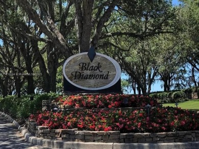 Build your dream home. Large 0.3-Acre Vacant Lot in the Black on Black Diamond Ranch Golf Course in Florida - for sale on GolfHomes.com, golf home, golf lot