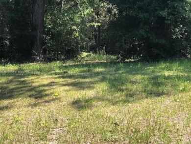 Build your dream home. Large 0.3-Acre Vacant Lot in the Black on Black Diamond Ranch Golf Course in Florida - for sale on GolfHomes.com, golf home, golf lot