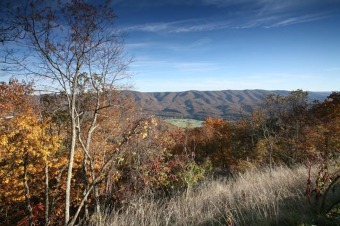 Located high atop Greenbrier Mountain, this homesite is within on Greenbrier Sporting Club in West Virginia - for sale on GolfHomes.com, golf home, golf lot