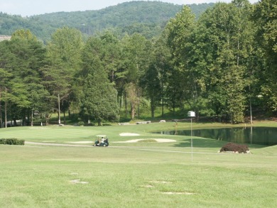 Great opportunity to take an original unit and make it a blank on Woodson Bend Resort in Kentucky - for sale on GolfHomes.com, golf home, golf lot