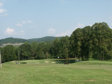 Great opportunity to take an original unit and make it a blank on Woodson Bend Resort in Kentucky - for sale on GolfHomes.com, golf home, golf lot