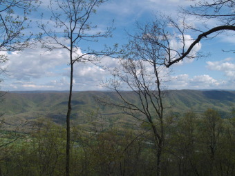 Located high atop Greenbrier Mountain, this homesite is within on Greenbrier Sporting Club in West Virginia - for sale on GolfHomes.com, golf home, golf lot