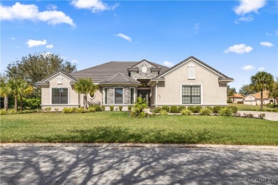 Don't Miss this Home! Seller is providing HUGE SAVINGS! This on Skyview At Terra Vista Golf and Country Club in Florida - for sale on GolfHomes.com, golf home, golf lot