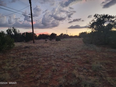 This serene1/2 acre lot is ideal for your dream mountain/lake on Silver Creek Golf Club in Arizona - for sale on GolfHomes.com, golf home, golf lot