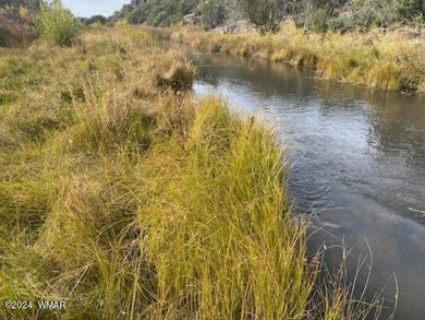 This serene1/2 acre lot is ideal for your dream mountain/lake on Silver Creek Golf Club in Arizona - for sale on GolfHomes.com, golf home, golf lot