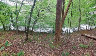 Beautiful wooded waterfront lot located in Lakewatch Plantation on Copper Cove Golf Cub in Virginia - for sale on GolfHomes.com, golf home, golf lot
