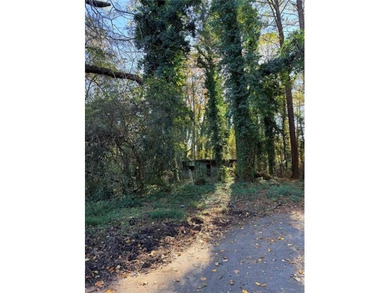 Here's your chance to grab a great lot in one of Atlanta's on Browns Mill Golf Course in Georgia - for sale on GolfHomes.com, golf home, golf lot