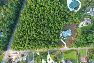 A Rare Opportunity to Own a Slice of Pawleys Island Paradise on True Blue Plantation in South Carolina - for sale on GolfHomes.com, golf home, golf lot