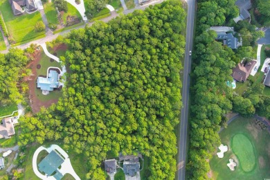 A Rare Opportunity to Own a Slice of Pawleys Island Paradise on True Blue Plantation in South Carolina - for sale on GolfHomes.com, golf home, golf lot