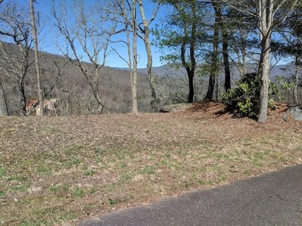Here is a great deal for a view lot at the Summit at Smoky on Smoky Mountain Country Club in North Carolina - for sale on GolfHomes.com, golf home, golf lot