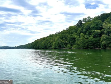 Acreage on the lake! Including 7 3/4 (+/-) acres, over 1100 feet on Chattahoochee Golf Course in Georgia - for sale on GolfHomes.com, golf home, golf lot