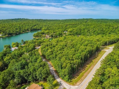 Welcome to Market a 22 Lot Bundle in the Lake Chanute Area in on Cherokee Village South Course in Arkansas - for sale on GolfHomes.com, golf home, golf lot