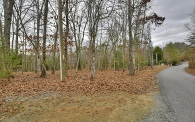 Toccoa River Access in Premier Gated Community just minutes from on Old Toccoa Farm Golf Club in Georgia - for sale on GolfHomes.com, golf home, golf lot