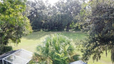 Welcome to 4614 River Ridge Dr in The Plantation at Leesburg
 on Plantation Golf Club in Florida - for sale on GolfHomes.com, golf home, golf lot