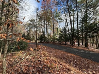 Beautiful and nice-laying lot located in the upscale community on White Path Golf Club in Georgia - for sale on GolfHomes.com, golf home, golf lot