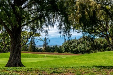 Fairway Terrace #I106 - Upgraded ground floor 1 bed / 1 bath on Waikoloa Village Golf Club in Hawaii - for sale on GolfHomes.com, golf home, golf lot