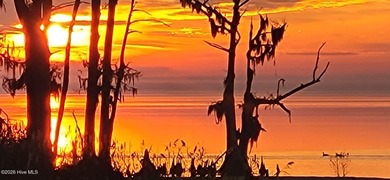 READY FOR SPRING 2026! Situated on one of the most photographed on Sound Golf Links at Albemarle Plantation in North Carolina - for sale on GolfHomes.com, golf home, golf lot