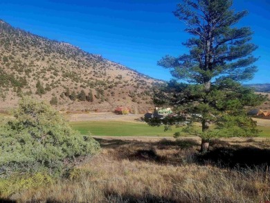 Connie Goodnight, Land Properties, LLC, C: , connie,  : Located on Rio Grande Golf Club in Colorado - for sale on GolfHomes.com, golf home, golf lot