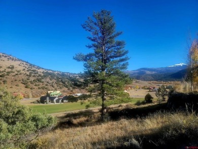 Connie Goodnight, Land Properties, LLC, C: , connie,  : Located on Rio Grande Golf Club in Colorado - for sale on GolfHomes.com, golf home, golf lot