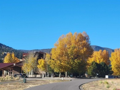 Connie Goodnight, Land Properties, LLC, C: , connie,  : Located on Rio Grande Golf Club in Colorado - for sale on GolfHomes.com, golf home, golf lot