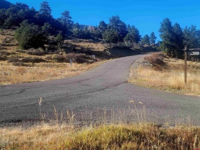 Connie Goodnight, Land Properties, LLC, C: , connie,  : This on Rio Grande Golf Club in Colorado - for sale on GolfHomes.com, golf home, golf lot