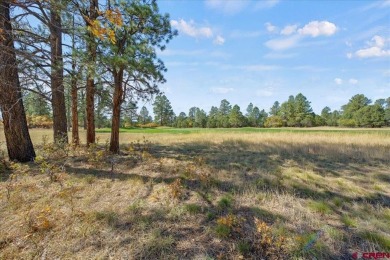 Mistalyn Kuzov, United Country Sneffels Realty, C: , mistalynk on The Divide Ranch and Club in Colorado - for sale on GolfHomes.com, golf home, golf lot