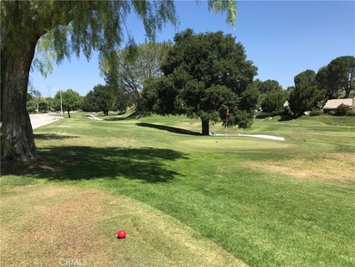 Call Listing Agent LeeAnn Bell, , for more info. *MOVE-IN READY on Friendly Valley Golf Course in California - for sale on GolfHomes.com, golf home, golf lot