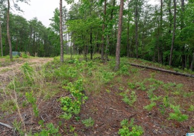 Build your dream home on this stunning 1.10-acre waterfront lot on NorthRiver Yacht Club in Alabama - for sale on GolfHomes.com, golf home, golf lot