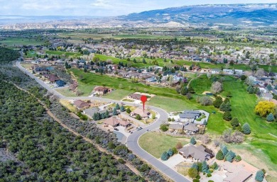 Absolutely beautiful, quality built home in prestigious on Cedaredge Golf Course in Colorado - for sale on GolfHomes.com, golf home, golf lot