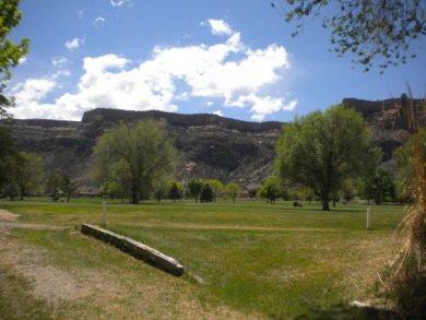 Location, Location, Location and Beautiful Views everywhere! on Tiara Rado Golf Course in Colorado - for sale on GolfHomes.com, golf home, golf lot