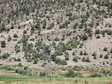 Dee Plucinski, Steffens and Company Realty, Inc, C: , dee,  : on Rio Grande Golf Club in Colorado - for sale on GolfHomes.com, golf home, golf lot