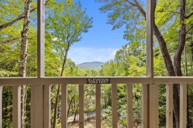 Discover your dream mountain home in the exclusive Club Colony on Lake Toxaway Country Club in North Carolina - for sale on GolfHomes.com, golf home, golf lot