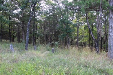 Nice parcel of land located in Unit 5 in Holiday Island. Has on Holiday Island Executive Golf Course in Arkansas - for sale on GolfHomes.com, golf home, golf lot