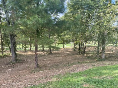 Mount Vintage is an ideal location for those interested in a on Mount Vintage Plantation and Golf Club  in South Carolina - for sale on GolfHomes.com, golf home, golf lot
