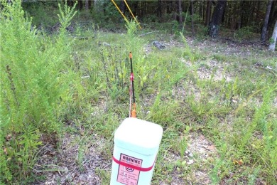 Nice parcel of land located in Unit 5 in Holiday Island. Has on Holiday Island Executive Golf Course in Arkansas - for sale on GolfHomes.com, golf home, golf lot