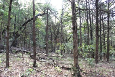 Nice parcel of land located in Unit 5 in Holiday Island. Has on Holiday Island Executive Golf Course in Arkansas - for sale on GolfHomes.com, golf home, golf lot