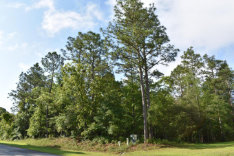 Wooded 0.38 acre lot in the quiet Minnesott Beach golfing on Minnesott Golf and Country Club in North Carolina - for sale on GolfHomes.com, golf home, golf lot