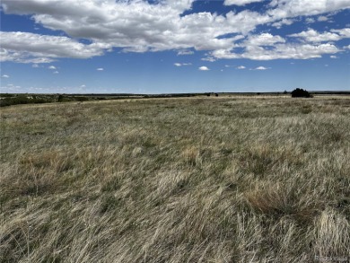 Great Price! Located in Colorado City, this 1/2 acre lot is on Hollydot Golf Course in Colorado - for sale on GolfHomes.com, golf home, golf lot