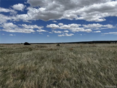 Great Price! Located in Colorado City, this 1/2 acre lot is on Hollydot Golf Course in Colorado - for sale on GolfHomes.com, golf home, golf lot