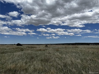 Great Price! Located in Colorado City, this 1/2 acre lot is on Hollydot Golf Course in Colorado - for sale on GolfHomes.com, golf home, golf lot