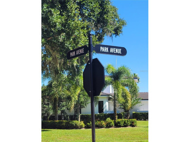 Welcome to Chaine Du Lac- one of Windermere's most exclusive on Windermere Country Club in Florida - for sale on GolfHomes.com, golf home, golf lot