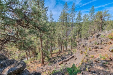 Enjoy spectacular views and nature at your doorstep from this on Widgi Creek Golf Club in Oregon - for sale on GolfHomes.com, golf home, golf lot