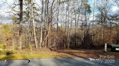 91 acre golf course lot with sloping topography conducive to a on Silver Creek Plantation Country Club in North Carolina - for sale on GolfHomes.com, golf home, golf lot