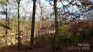 91 acre golf course lot with sloping topography conducive to a on Silver Creek Plantation Country Club in North Carolina - for sale on GolfHomes.com, golf home, golf lot